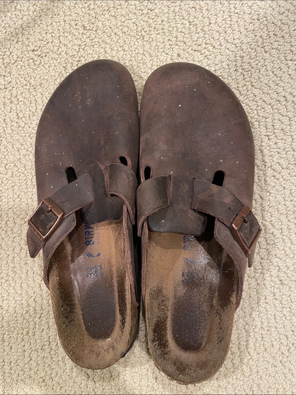 Birkenstock Men's Clog in Brown Suede with Buckle